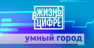 Жизнь в цифре