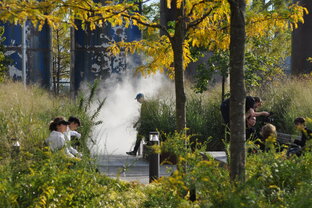 Вдоль и поперек Америки