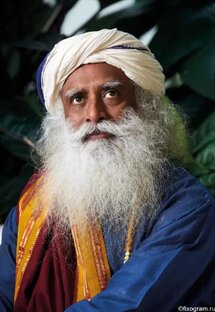 Джагги Васудев- Садхгуру - Цитаты