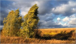 Только шедевры