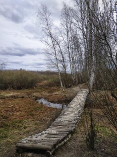 Красивые виды природы 