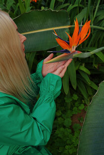 Путешествия