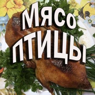 Из мяса птицы