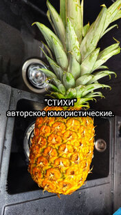 ЮМОРИСТИЧЕСКИЕ стихи. АлексаОс.