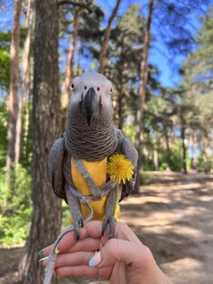 Гуляем