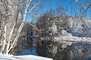 Утро было нарядным
