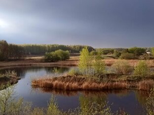 Высказывания о красоте природы