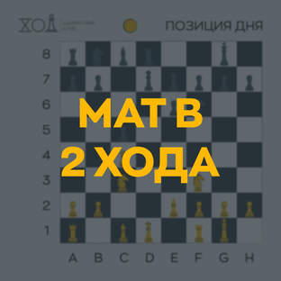 Задачи по шахматам. Мат в 2 хода