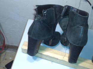 "Собачья радость"