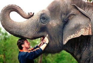 Зубы есть не только у людей))))разбор полетов 