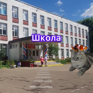 Если бы котики ходили в школу-все серии
