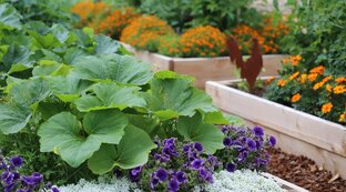 Полезная информация