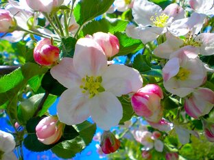 Ритмы природы! 