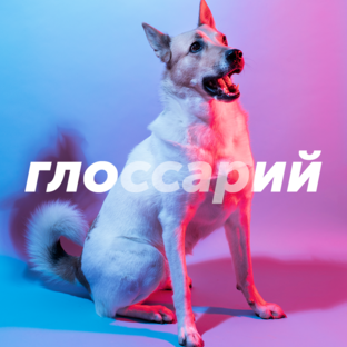 Глоссарий
