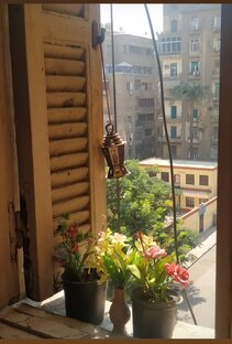 Красота и вдохновение 