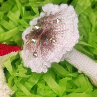 СХЕМЫ ГРИБЫ