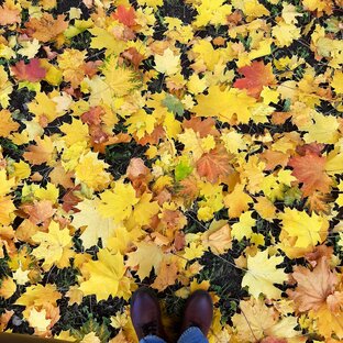 Зарисовки из жизни