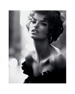 Стивен Мейзел