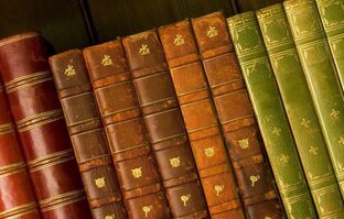 Книжная полка: