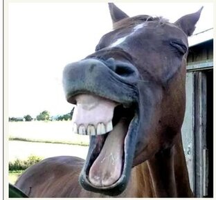 Жизнь в деревне