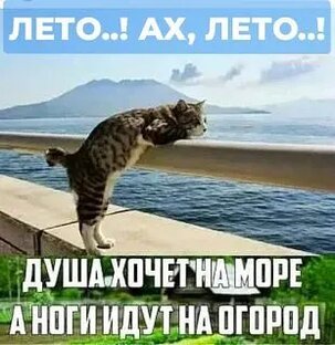 Домашняя консервация