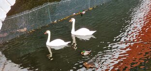 Рассуждалки