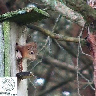 Детки Изольды Карловны