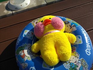 Влоги и Блоги😉