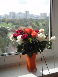 Видео-зарисовки, открытки