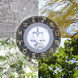 Гороскопы для Весов