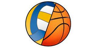 Волейбол, баскетбол и другие игровые виды спорта