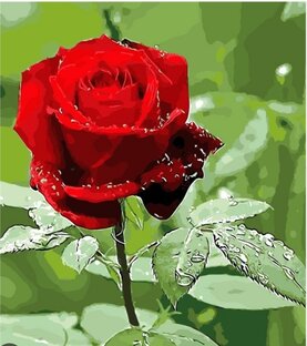 Нежный цветок! Создания Аллаха!