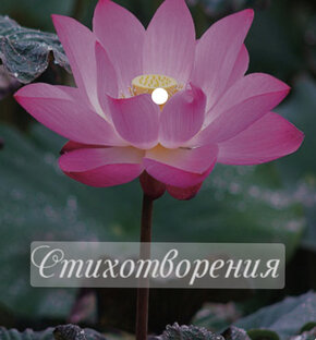 Стихотворения 