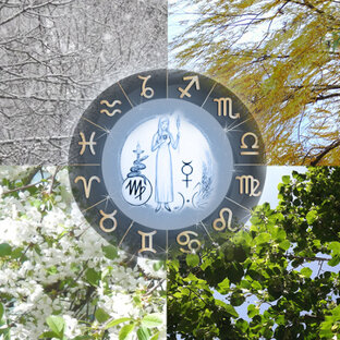 Гороскопы для Девы