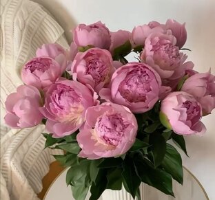 Магия на каждый день