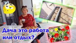 сад огород