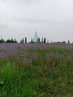 Остров Валам