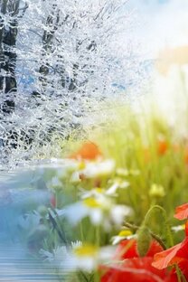 Стихи о природе