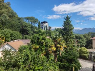 Красивый вид