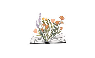 Книжные анонсы