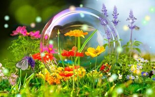 Главная проработка души