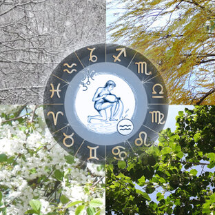 Гороскопы для Водолея