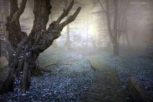 Странное... Непознанное... Мистическое...