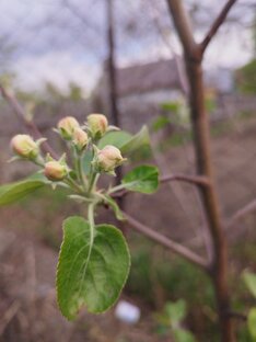 Мои заметки