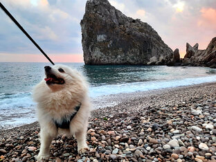 Наш переезд к морю