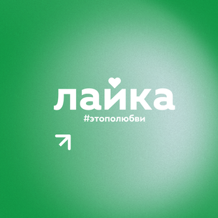 Кейсы