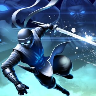 Воин-ниндзя: Легенда теневых файтингов