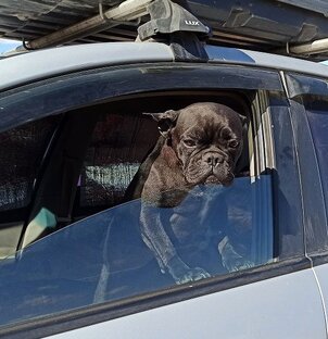 Большое осеннее путешествие