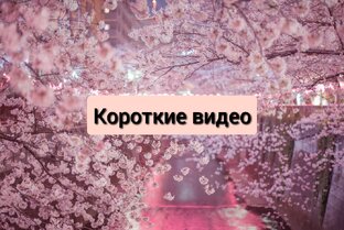 Короткие видео