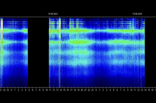 Резонанс Шумана 